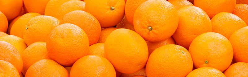 Fresh and Premium Quality Oranges